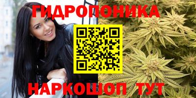 альфа пвп Можга