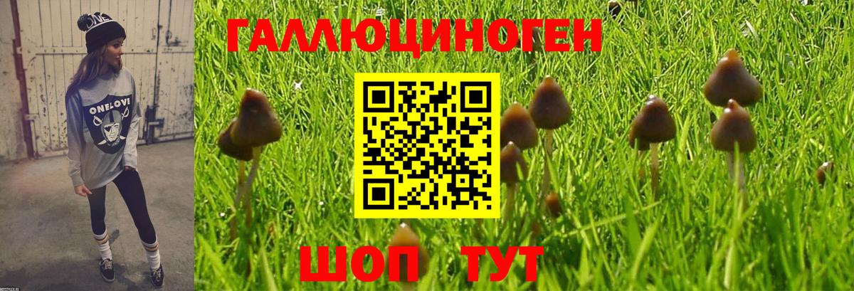 Псилоцибиновые грибы MAGIC MUSHROOMS Фролово