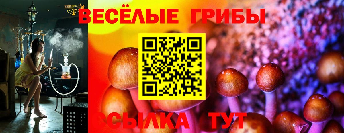 Галлюциногенные грибы Psilocybe  Вход с VPN  Фролово 